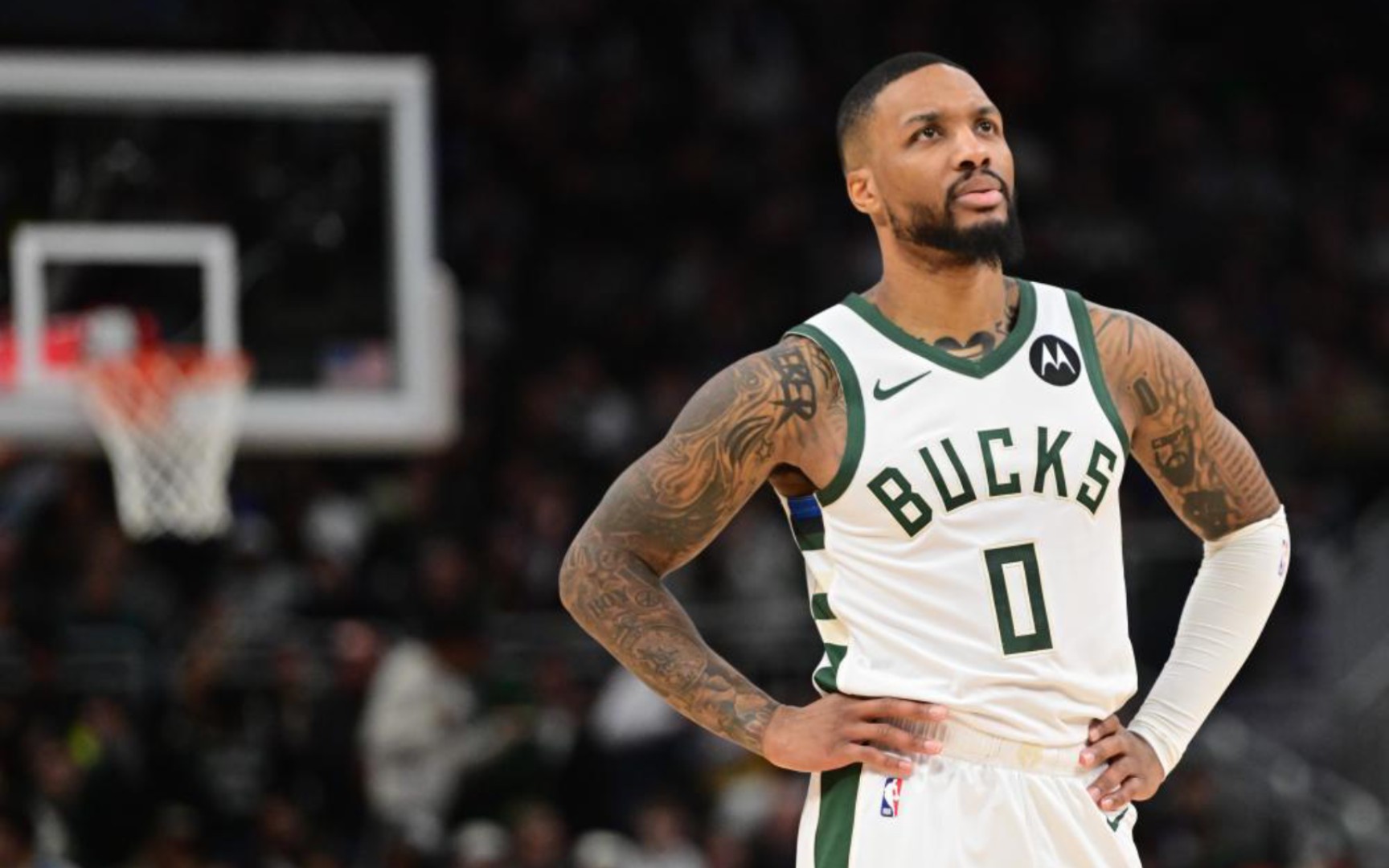 翻倍并非鲁 翻倍并非鲁